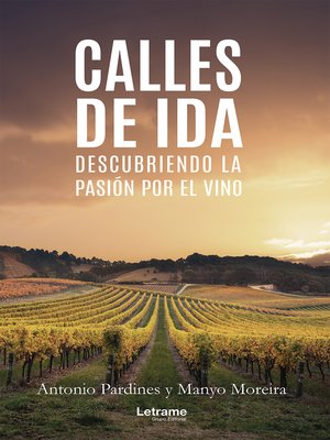 cover image of Calles de ida